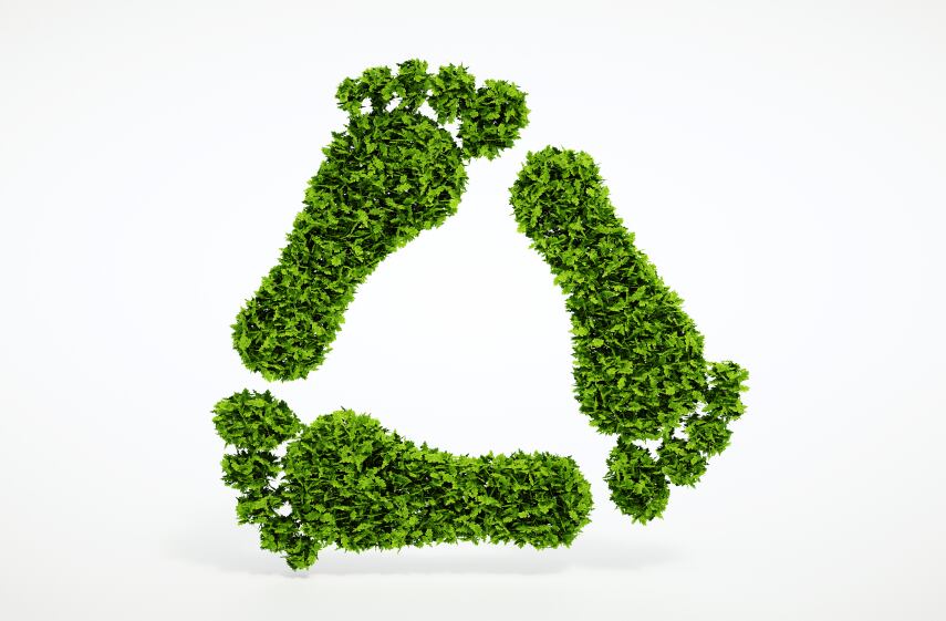ecology-environment-footprint-sustainability-iStock.com-Petmal.jpg