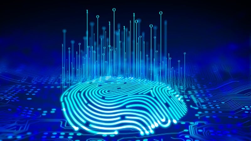 Food fingerprinting future: ProfilePrint targets global food standards provider role after industry heavyweight support