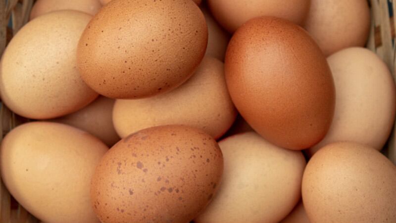 Taiwan food chiefs hatch new egg safety plan to crack down on fipronil fears