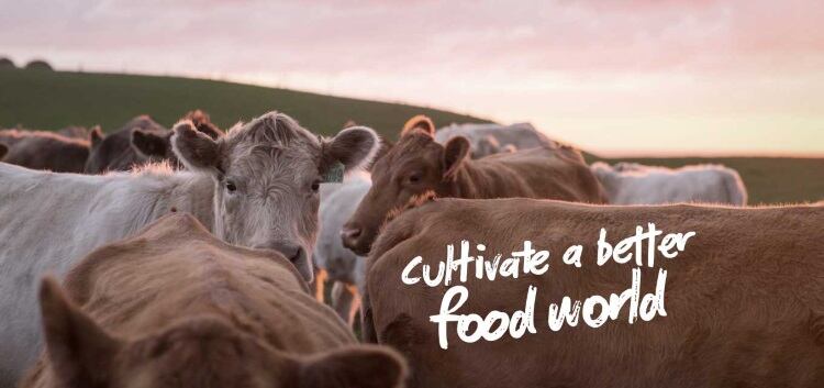 Carbon neutral meat plant unveiled