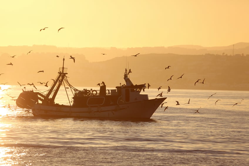 SALT: Removing the 'veil of unlawful behaviour’ in the seafood supply chain
