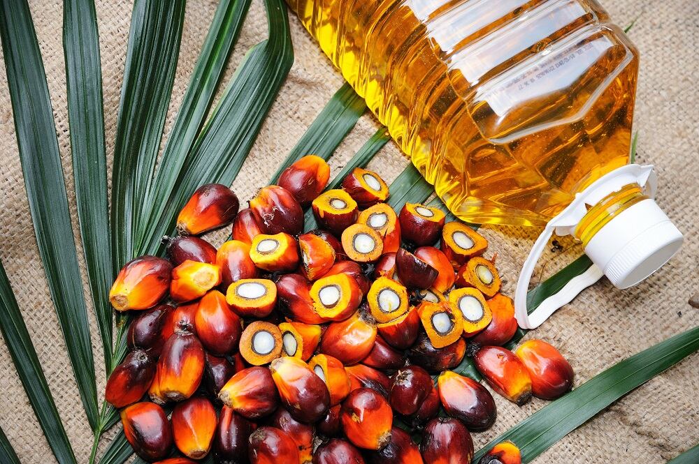 Palm-oil-2-C-Getty-Images-slpu9945.jpg