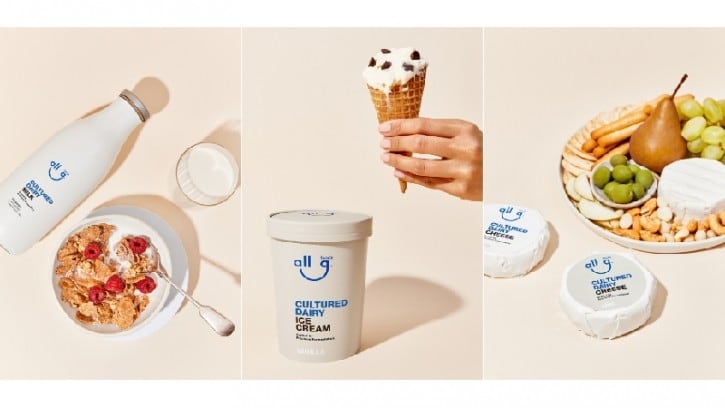 Australia's All G Foods scales up for debut of precision fermented proteins in Singapore by end–2024