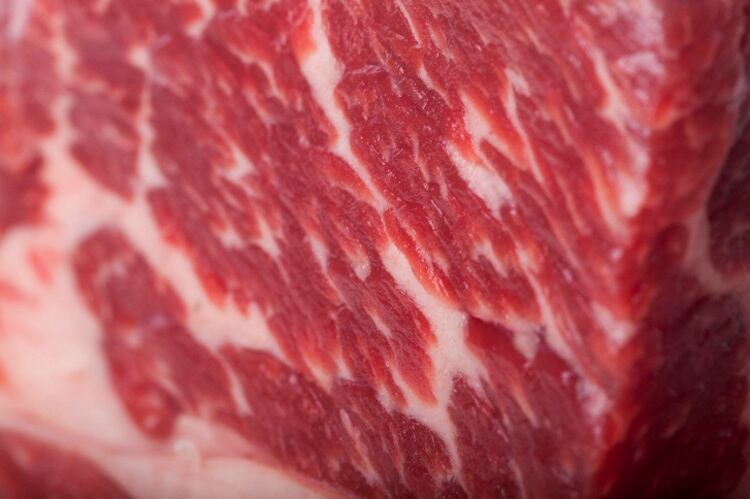 Australia defends Japanese beef position