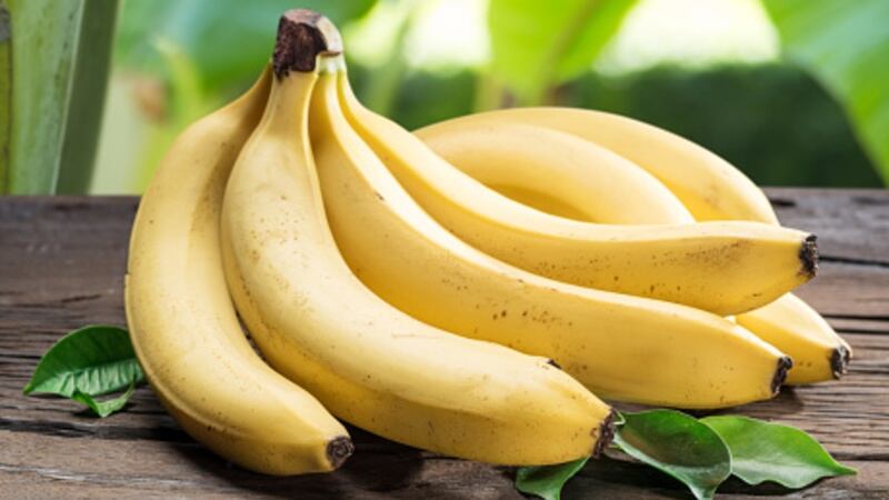 Banana drama: ‘Pirated’ products and tariff tribulations puts Philippines’ top agri export at risk