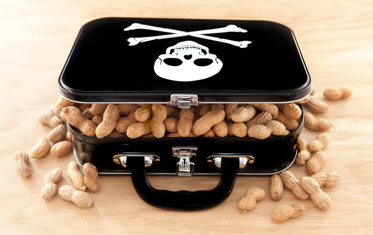 Boiled peanuts could help overcome child peanut allergy, clinical trial shows
