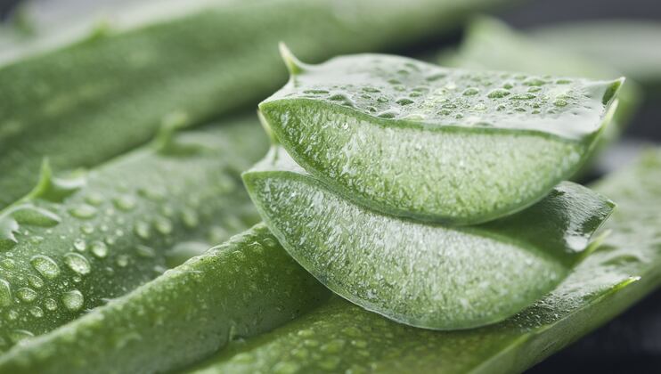 Taiwan-s-new-regulations-on-aloe-vera-use-in-food-and-supplements.png