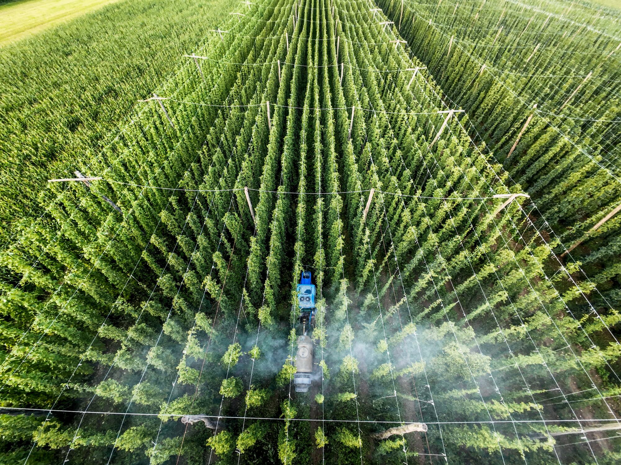 For automative technologies to scale effectively, especially in shared or open farm environments, they must demonstrate safety by design, believes AgriRobot.