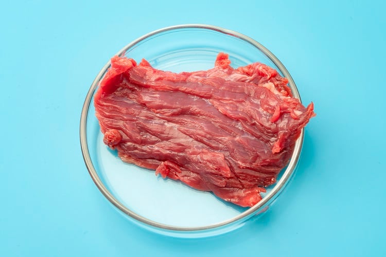 Dissecting cultivated meat regulation part 1: What’s working in Europe and Israel, and what’s not?