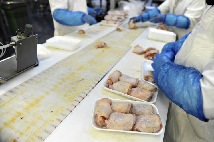 Food Star to double production for Chinese exports