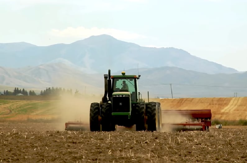 Cargill-high-oleic-canola.png