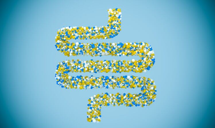 Trial first: Angel Yeast studying yeast-based probiotics’ effects on IBD patients
