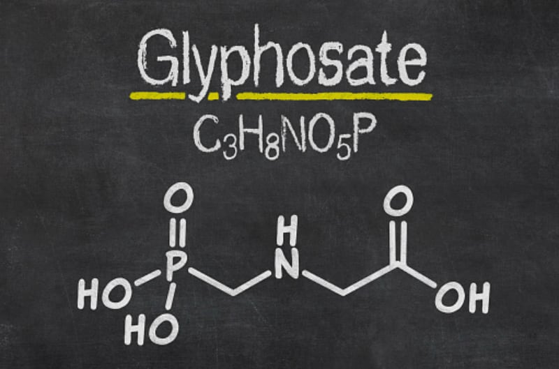 India’s war on glyphosate: Canada and Australia under fire as FSSAI intensifies pulses testing
