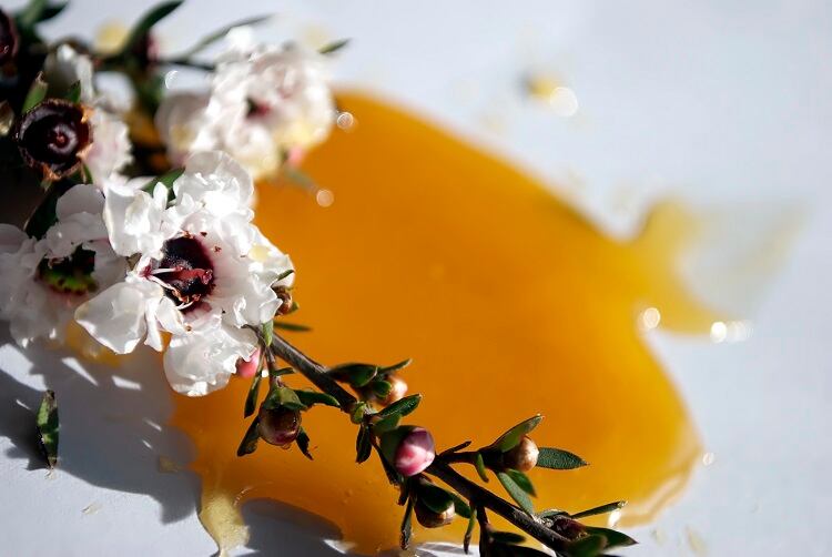 ‘A laughably self-serving study’: Industry backlash over fake manuka honey claims