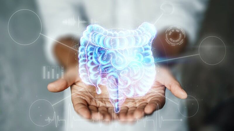 Why-consistency-and-quality-control-is-paramount-in-postbiotics-production.jpg