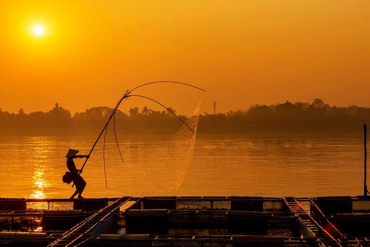 tilapia-Thirawatana-Phaisalratana.jpg