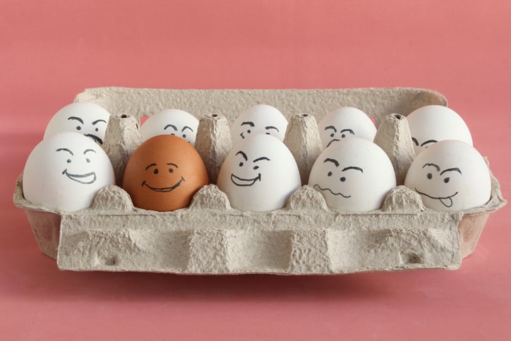 Excess egg consumption linked with increased risk of diabetes: study