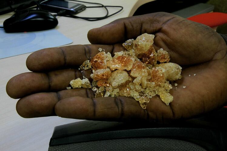 acaciagum-hand-GettyImages-134072181.jpg