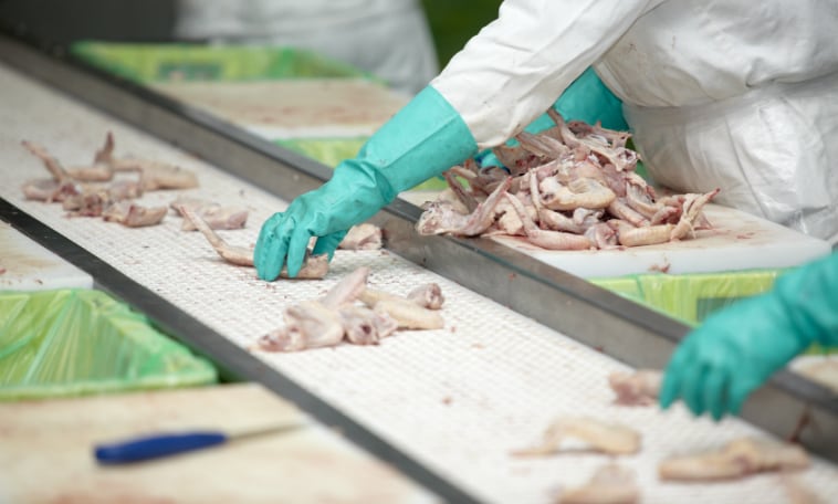 Poultry.jpg