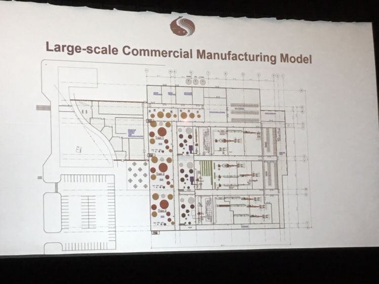 From edible scaffolding to bio-printing: What would an industrial-scale cell-based meat plant look like?