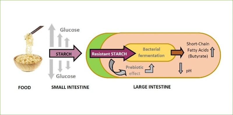 Prebiotic ramen? Arista eyes Japan as next big market for products made with its high-fibre, low-GI, clean label wheat