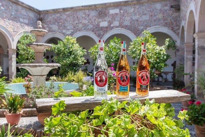 What-s-hitting-the-shelves-New-beverage-launches-April-2019_wrbm_large.jpg