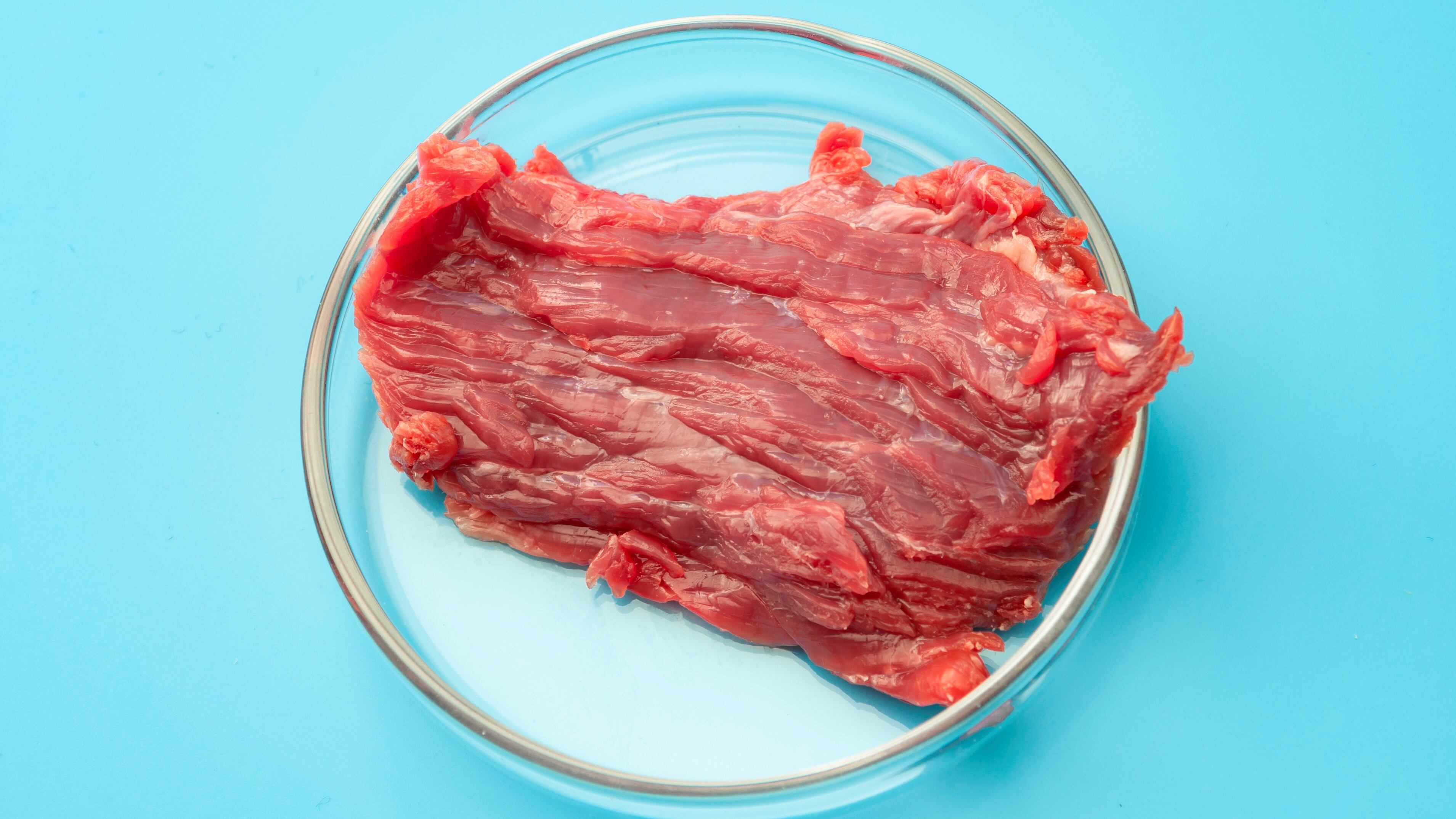 Time to beef up commercialisation for cultivated meats with collaborative regulation – Australia’s Magic Valley