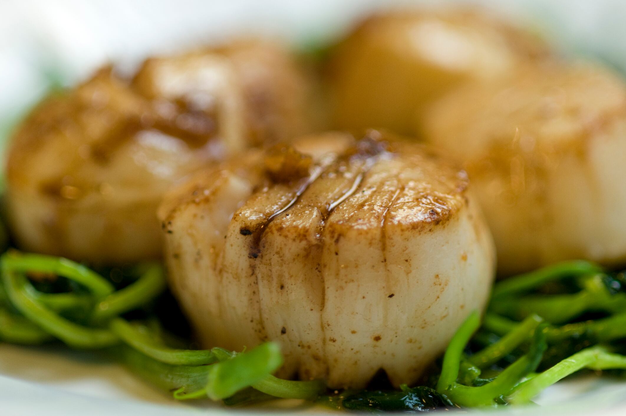 scallops-Kazuko-Kimizuka.jpg