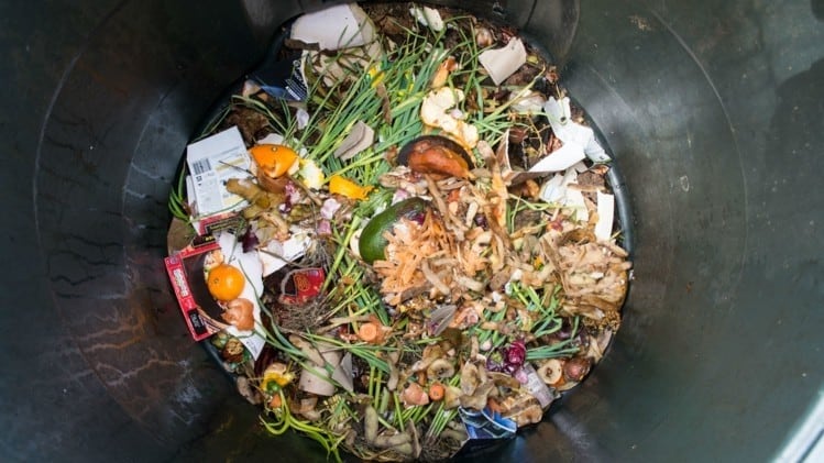 Food waste reduction: Japan believes it is ‘close’ to achieving awareness and action goals – government data