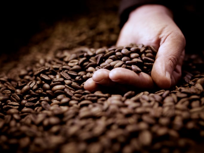 Can Ebola disrupt coffee prices and stocks?