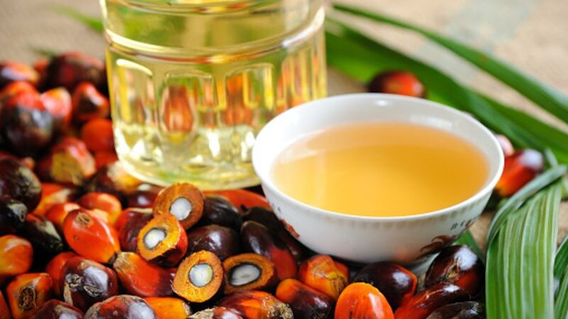 Sustainability not enough: Malaysian palm oil sector pushes for better branding and consumer communication