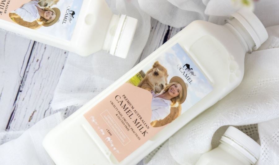 Front of the Q: Singapore first export market for Australia’s QCamel camel milk products