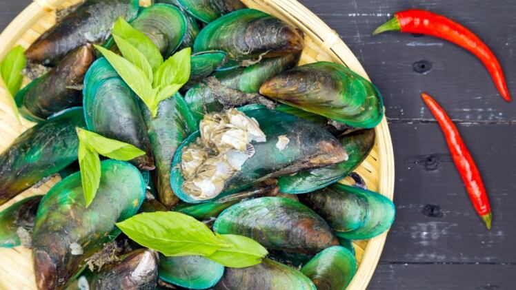Flexing the mussel: Osteoarthritis benefits of Kiwi greenshell mussel reinforced by NZ High Value Nutrition study