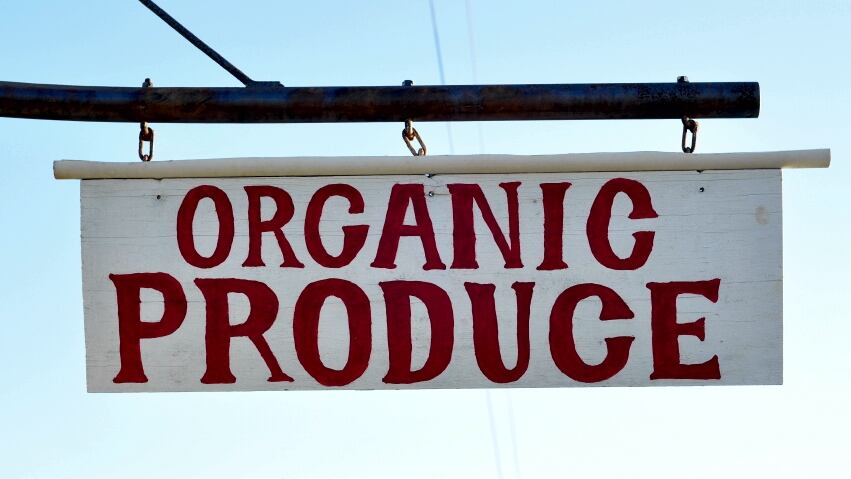 Organics.jpg