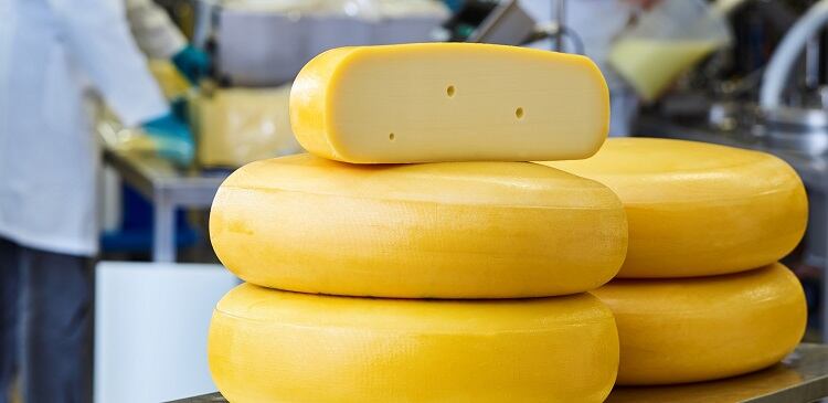‘Game changer’ cheese enzyme increases yield by up to 1%: ‘There is nothing on par with this’