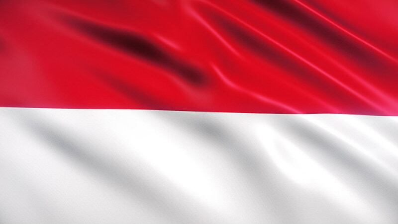 Government action needed: Political pressure key for Indonesian F&B firms to propel reformulation 