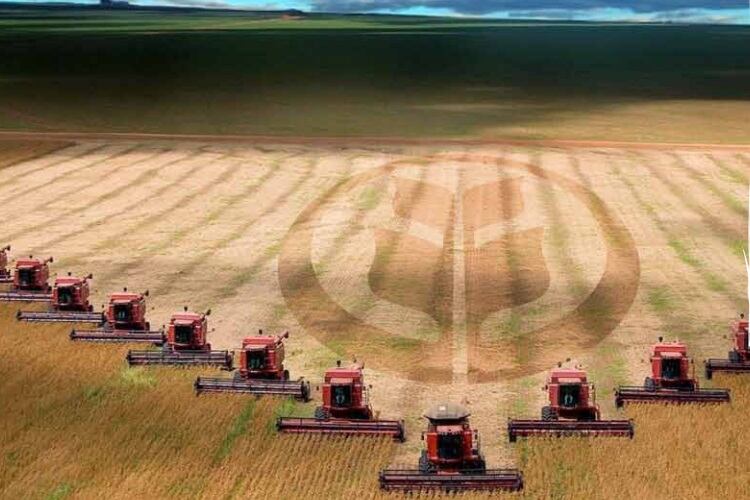 Turkey’s largest B2B flour miller lands $25m facility to transition into retail sector