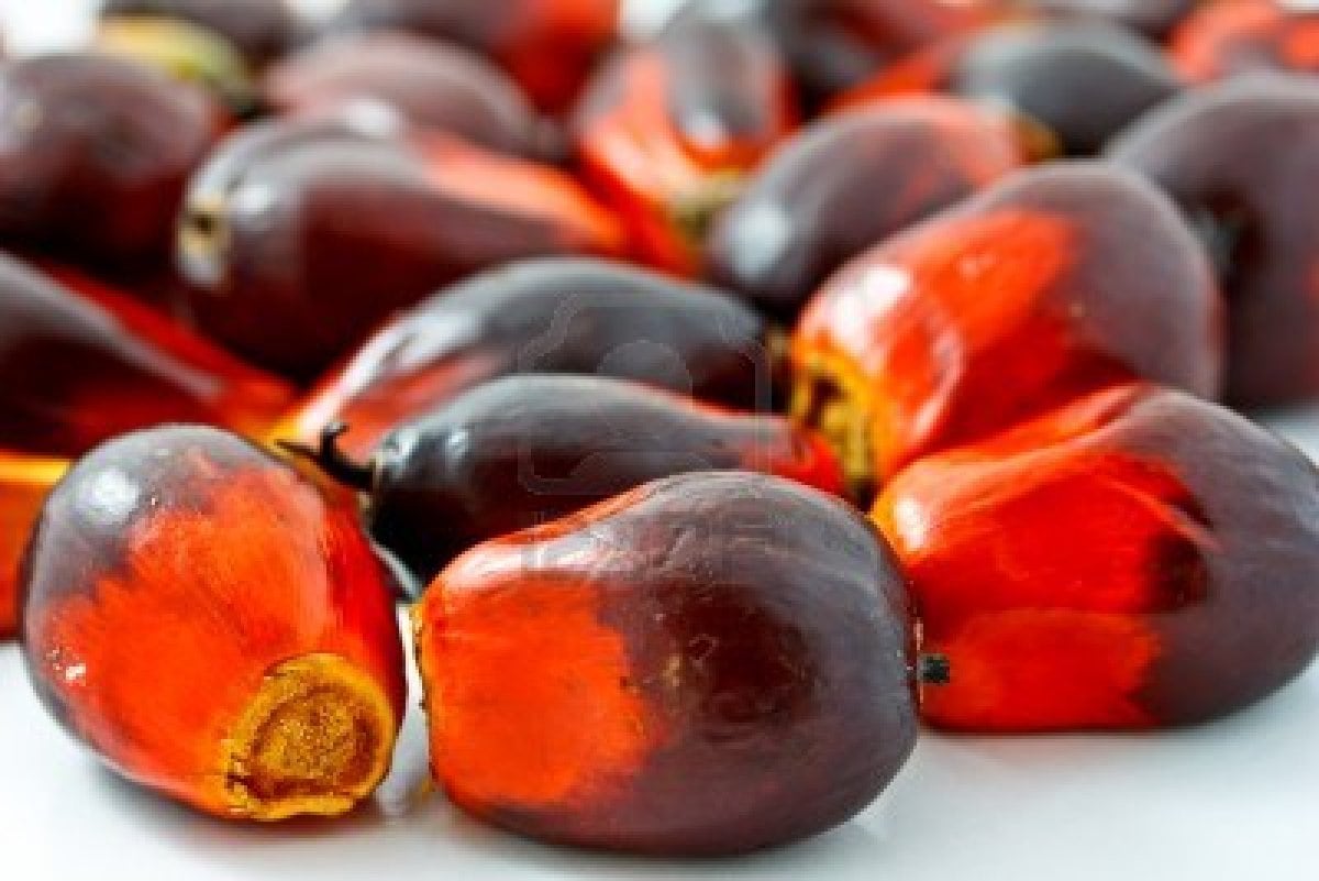 palm_oil_fruit_sustainable_sourcing_RSPO.jpg