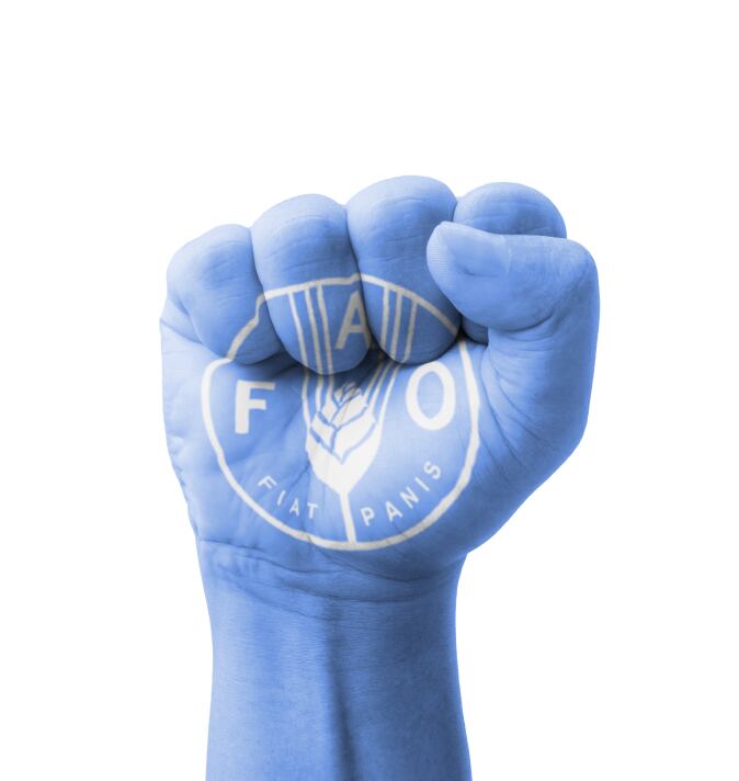fao.jpg