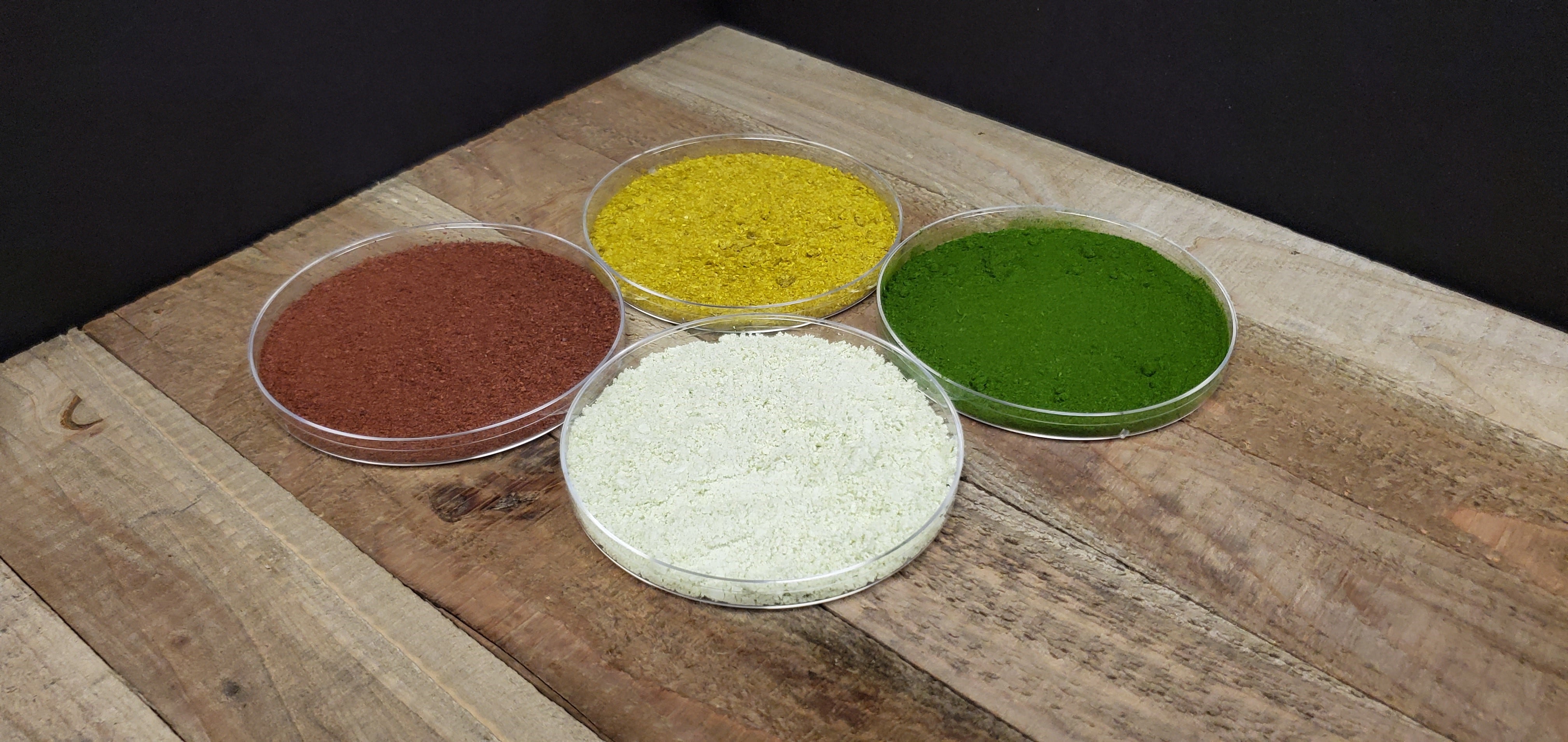 US-based Triton Algae Innovations eyes expansion in Singapore’s alternative protein space