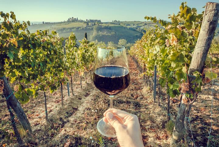 Thirsty for clean wines: Taste, sustainability and health drive consumption of natural wines in Australia