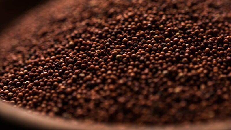 Nestle-India-says-traditional-ingredients-in-children-s-foods-key-to-boosting-parent-confidence.jpg