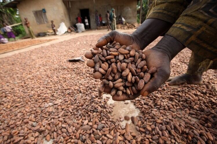 Australia-s-Modern-Slavery-Bill-is-flawed-Nestle.jpg