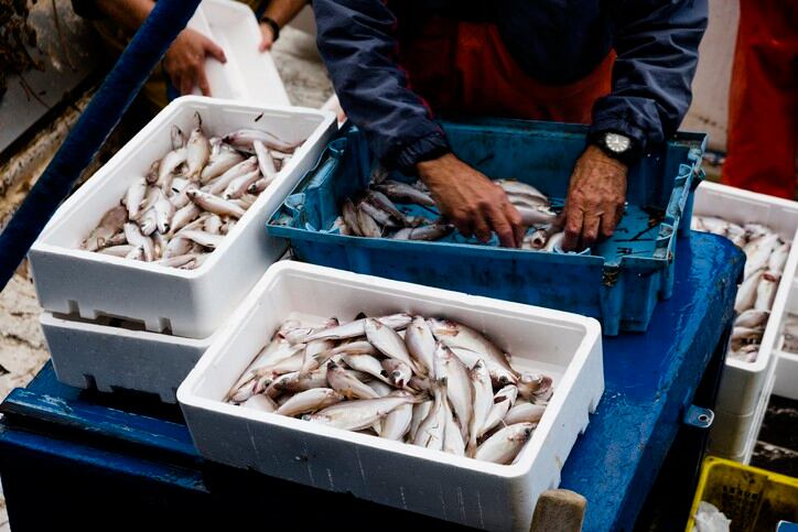 Heavy metal contamination: ‘Serious and remarkable’ concentration of arsenic, lead and cadmium in Turkish fish