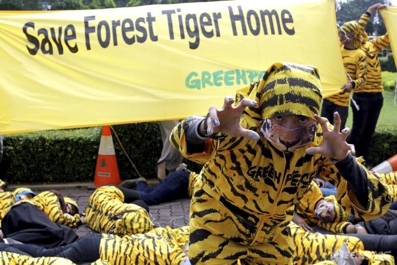 species-under-threat-Didit-Majalolo-Greenpeace.jpg