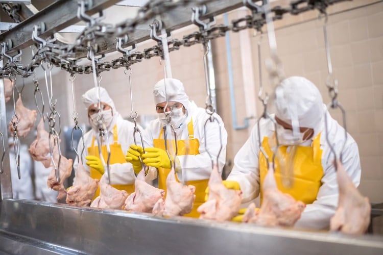 How is the war in Ukraine impacting the global meat industry? 
