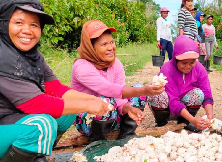 Mondelēz and Olam announce partnership to create ‘world’s largest sustainable cocoa farm’ in Asia