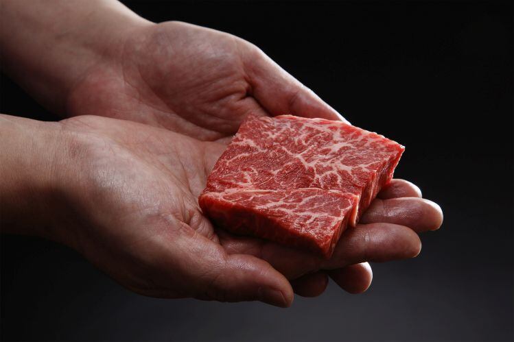 JUST strikes deal in Japan to bring cell-cultured Wagyu beef to market