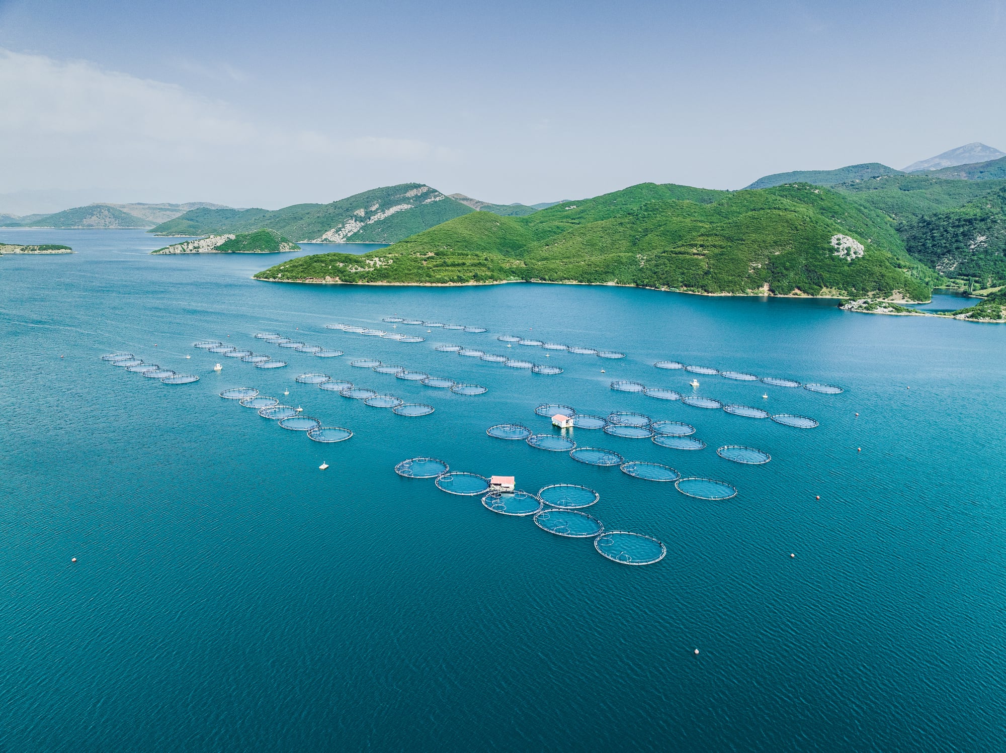 is aquaculture climate smart or climate harmful? The answer is rooted beyond farming practices, and whether policy, regulation, certification and market incentives align.