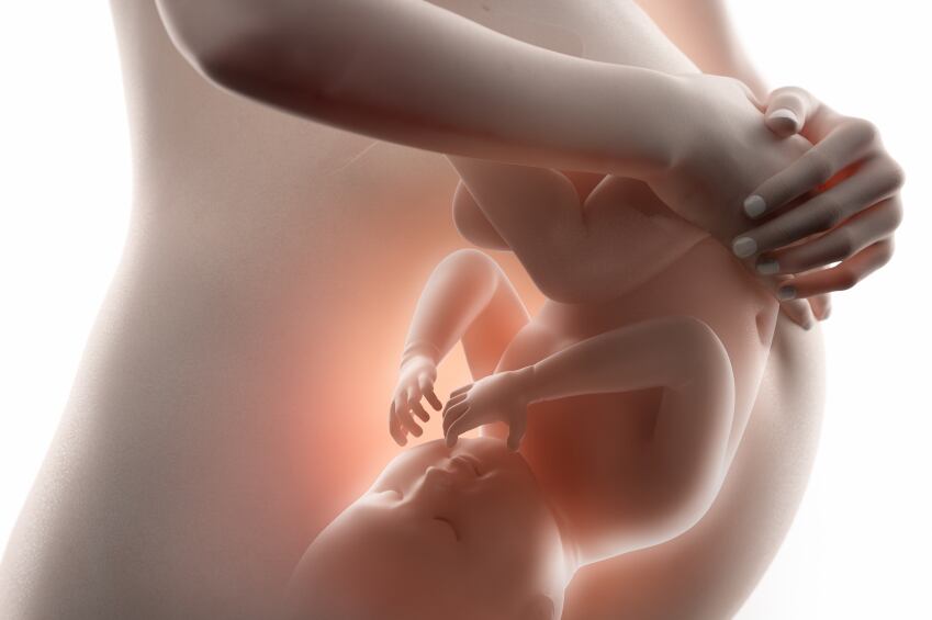 pregnancy-baby-maternal-infant.jpg